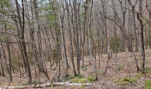 Photo #19 of Off Big Rock Ln, Lowgap, NC 7.0 acres