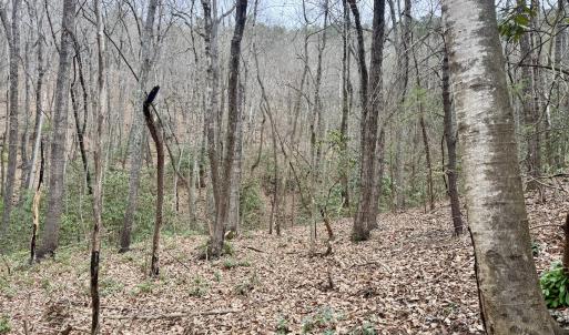 Photo #21 of Off Big Rock Ln, Lowgap, NC 7.0 acres