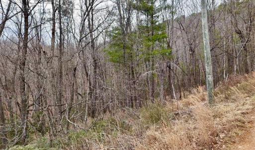 Photo #2 of Off Big Rock Ln, Lowgap, NC 7.0 acres