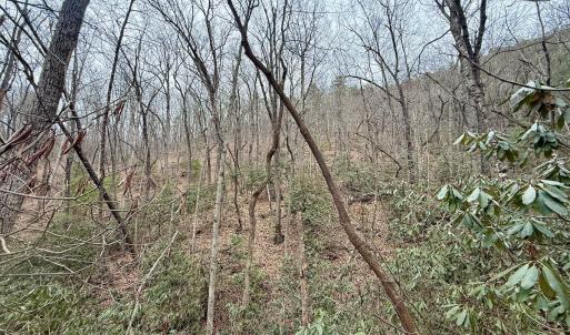 Photo #22 of Off Big Rock Ln, Lowgap, NC 7.0 acres