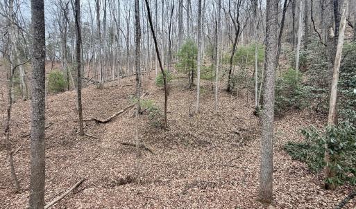 Photo #24 of Off Big Rock Ln, Lowgap, NC 7.0 acres