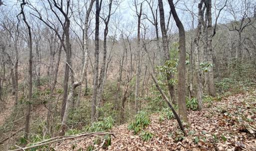 Photo #26 of Off Big Rock Ln, Lowgap, NC 7.0 acres
