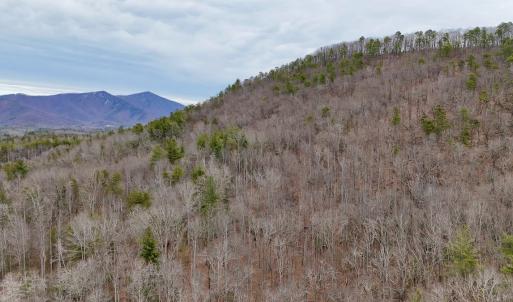 Photo #27 of Off Big Rock Ln, Lowgap, NC 7.0 acres