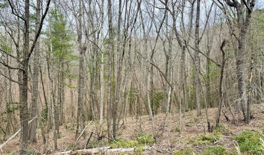 Photo #3 of Off Big Rock Ln, Lowgap, NC 7.0 acres
