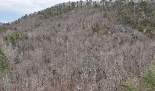 Photo #32 of Off Big Rock Ln, Lowgap, NC 7.0 acres