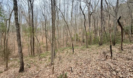 Photo #6 of Off Big Rock Ln, Lowgap, NC 7.0 acres