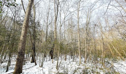 Photo #27 of Off Moonlight Rd., Emporia, VA 29.1 acres