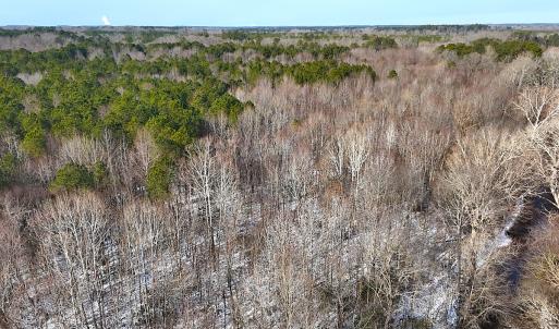 Photo #2 of Off Moonlight Rd., Emporia, VA 29.1 acres