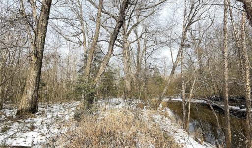 Photo #11 of Off Moonlight Rd., Emporia, VA 29.1 acres