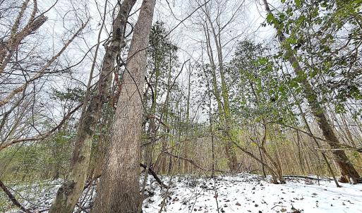 Photo #12 of Off Moonlight Rd., Emporia, VA 29.1 acres