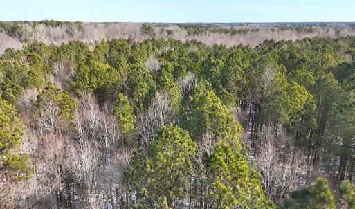 Photo #18 of Off Moonlight Rd., Emporia, VA 29.1 acres