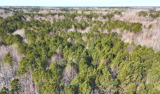 Photo #24 of Off Moonlight Rd., Emporia, VA 29.1 acres