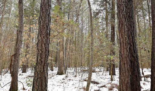 Photo #25 of Off Moonlight Rd., Emporia, VA 29.1 acres