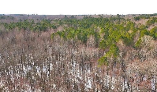 Photo #26 of Off Moonlight Rd., Emporia, VA 29.1 acres