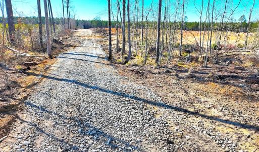 Photo #11 of Off Courthouse Road, Waverly, VA 8.1 acres