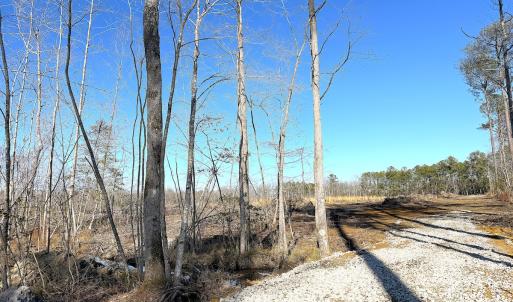 Photo #12 of Off Courthouse Road, Waverly, VA 8.1 acres