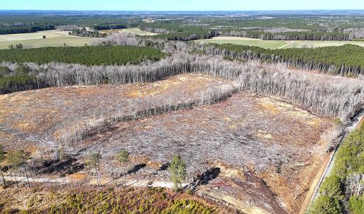 Photo #1 of Off Courthouse Road, Waverly, VA 8.1 acres