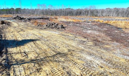 Photo #5 of Off Courthouse Road, Waverly, VA 8.1 acres