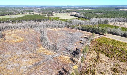 Photo #6 of Off Courthouse Road, Waverly, VA 8.1 acres