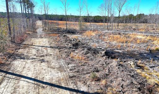 Photo #8 of Off Courthouse Road, Waverly, VA 8.1 acres