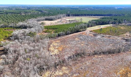 Photo #12 of Off Courthouse Road, Waverly, VA 10.2 acres