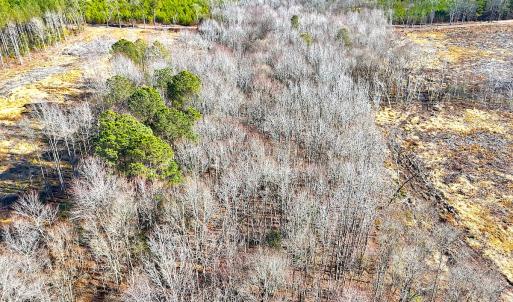 Photo #14 of Off Courthouse Road, Waverly, VA 10.2 acres