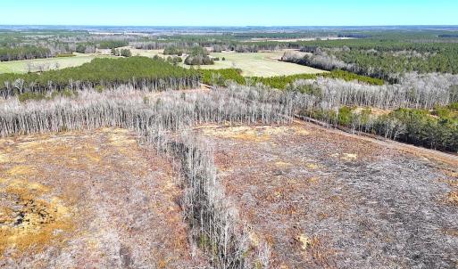 Photo #18 of Off Courthouse Road, Waverly, VA 10.2 acres