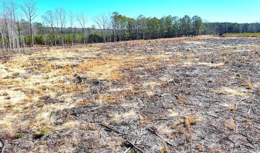 Photo #20 of Off Courthouse Road, Waverly, VA 10.2 acres