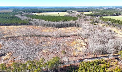 Photo #3 of Off Courthouse Road, Waverly, VA 10.2 acres