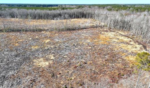 Photo #5 of Off Courthouse Road, Waverly, VA 10.2 acres