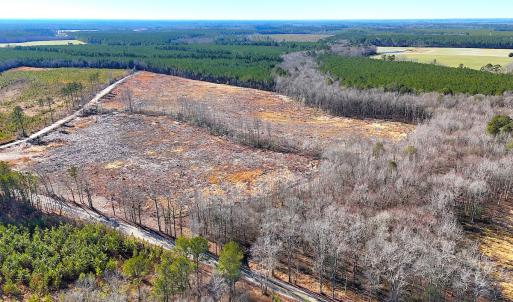 Photo #7 of Off Courthouse Road, Waverly, VA 10.2 acres