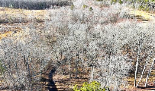 Photo #8 of Off Courthouse Road, Waverly, VA 10.2 acres