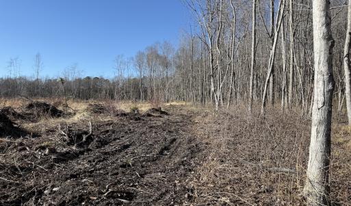 Photo #10 of Off Courthouse Road, Waverly, VA 10.2 acres