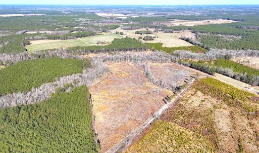 Photo #3 of Off Courthouse Road, Waverly, VA 31.5 acres