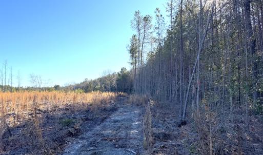 Photo #15 of Off Courthouse Road, Waverly, VA 31.5 acres