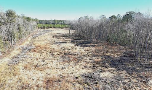 Photo #17 of Off Courthouse Road, Waverly, VA 31.5 acres