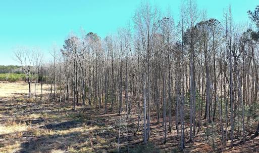 Photo #18 of Off Courthouse Road, Waverly, VA 31.5 acres