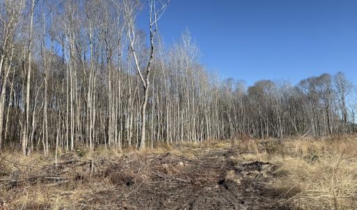 Photo #20 of Off Courthouse Road, Waverly, VA 31.5 acres