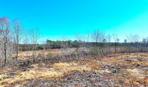 Photo #21 of Off Courthouse Road, Waverly, VA 31.5 acres