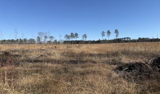 Photo #22 of Off Courthouse Road, Waverly, VA 31.5 acres