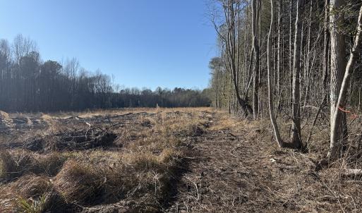 Photo #29 of Off Courthouse Road, Waverly, VA 31.5 acres