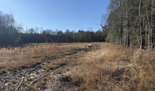 Photo #30 of Off Courthouse Road, Waverly, VA 31.5 acres