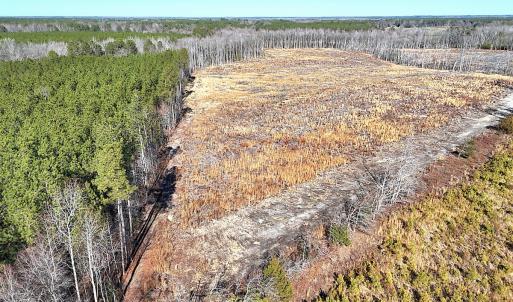 Photo #5 of Off Courthouse Road, Waverly, VA 31.5 acres