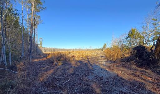 Photo #6 of Off Courthouse Road, Waverly, VA 31.5 acres