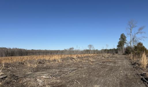Photo #7 of Off Courthouse Road, Waverly, VA 31.5 acres