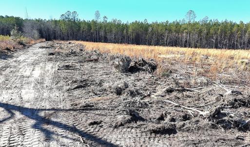 Photo #11 of Off Courthouse Road, Waverly, VA 31.5 acres