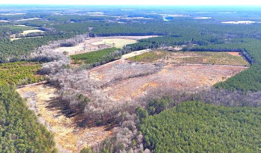 Photo #13 of Off Courthouse Road, Waverly, VA 31.5 acres