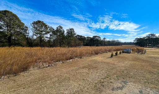 Photo #3 of 1775 Corinth Chapel Rd, Suffolk, VA 3.0 acres