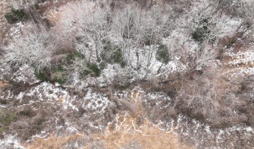 Photo #26 of Off Mt Pleasant Church Road, Manson, NC 12.6 acres