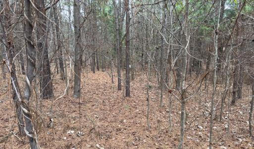 Photo #30 of Off Mt Pleasant Church Road, Manson, NC 12.6 acres